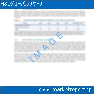 市場と産業調査レポートのイメージ